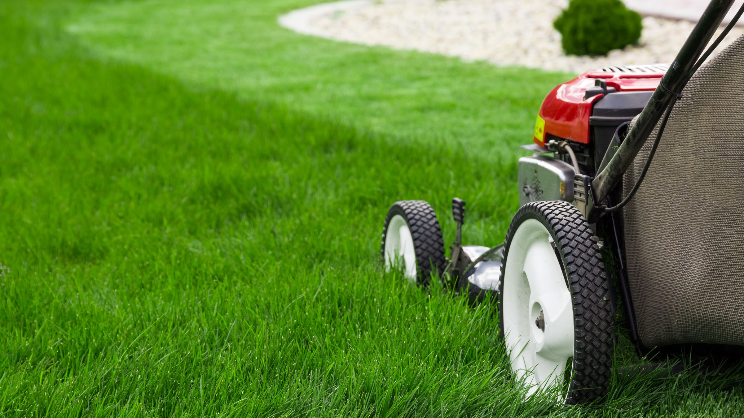 Lawn Care services
